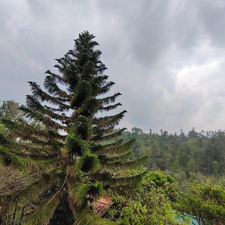 Silver Spruce Entire Nature Villa Kotagiri Exterior foto
