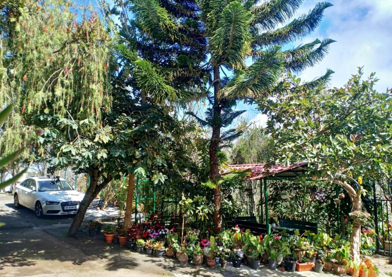 Silver Spruce Entire Nature Villa Kotagiri Exterior foto