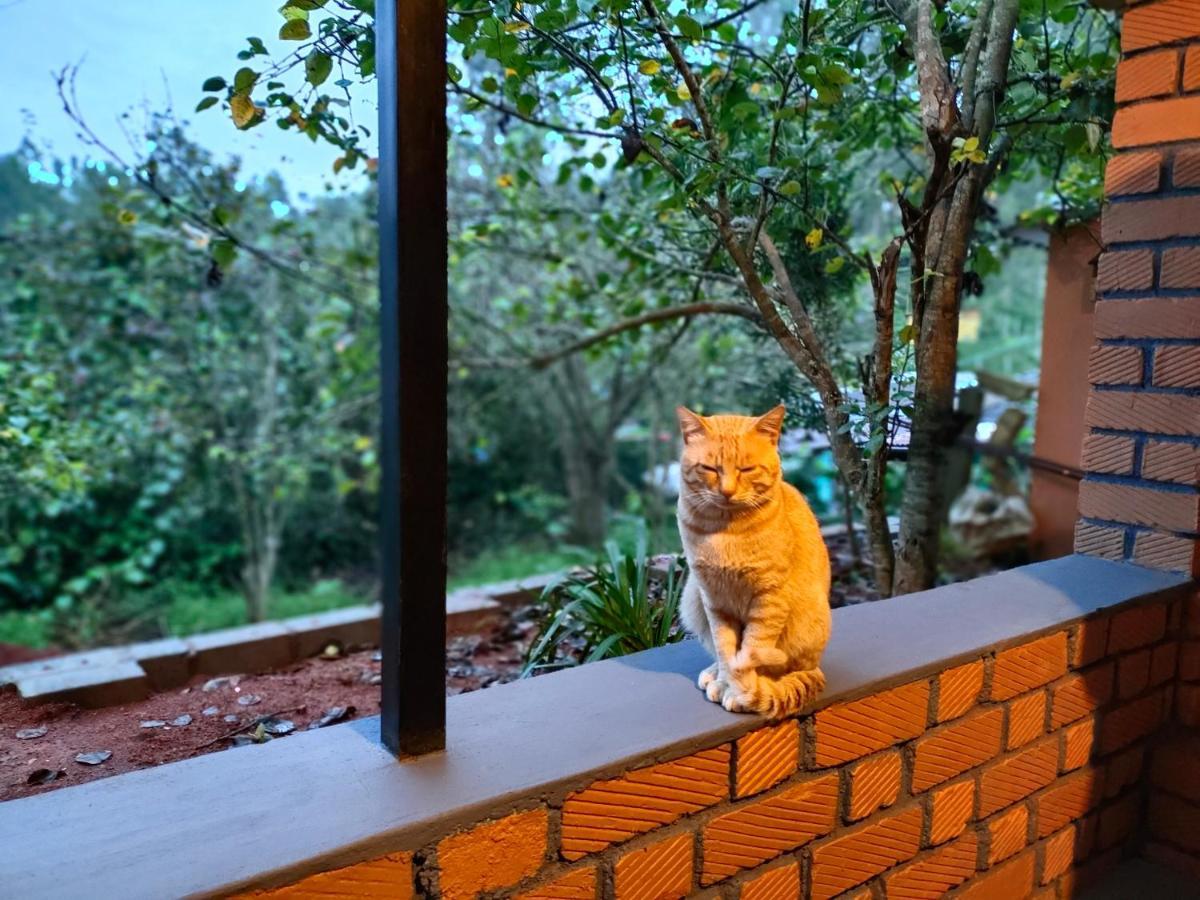 Silver Spruce Entire Nature Villa Kotagiri Exterior foto