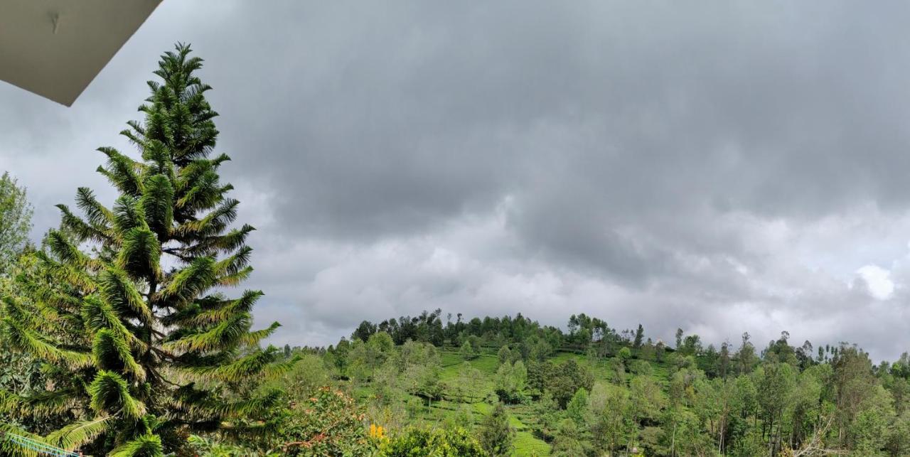 Silver Spruce Entire Nature Villa Kotagiri Exterior foto