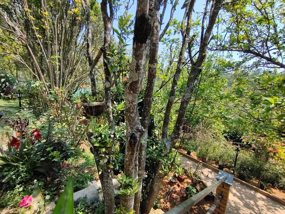 Silver Spruce Entire Nature Villa Kotagiri Exterior foto